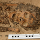An ancient Egyptian skeleton wearing a head cone.